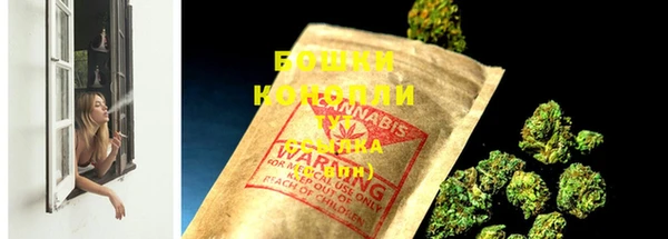 PSILOCYBIN Алексеевка