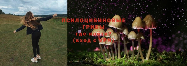 PSILOCYBIN Алексеевка